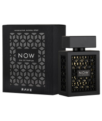 RAVE NOW 100 ML E PERF SPRAY CABALLERO