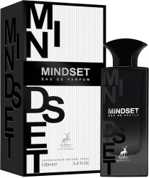 MAISON MINDSET 100 ML E PERF SPRAY CABALLERO