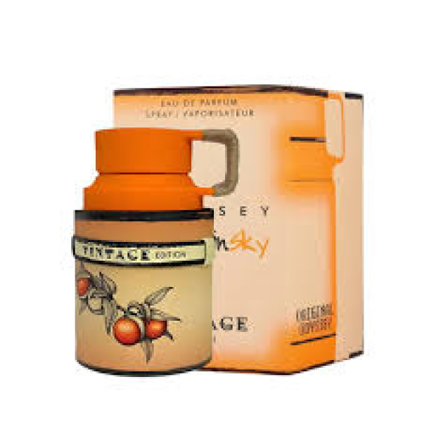 ARMAF ODYSSEY VINTAGE 100 ML E PERF SPRAY CABALLERO